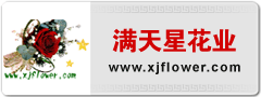 尺寸：240*90